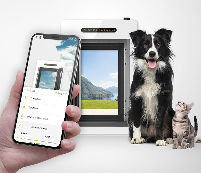 Hund und Katze mit petWALK Tür und App.